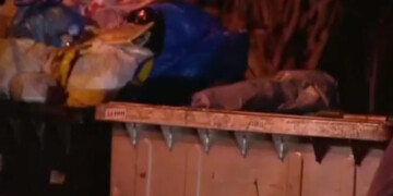 Θεσσαλονίκη: Άστεγος κοιμόταν σε κάδο και τον περισυνέλεξε απορριμματοφόρο