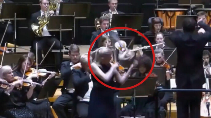 Φινλανδία: Μαέστρος έριξε κατά λάθος βιολί 1 εκατ. δολαρίων σε συναυλία