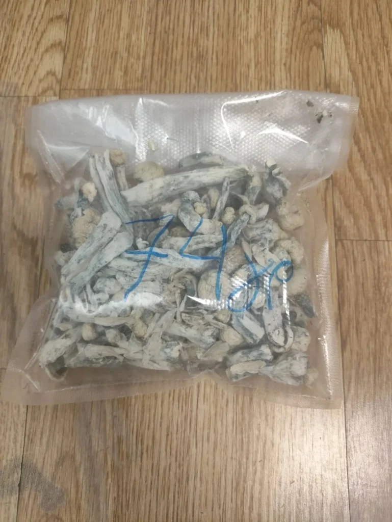 Στα χέρια της ΕΛΑΣ 27χρονος που παρέλαβε μέσω ταχυδρομείου σχεδόν 2 κιλά κάνναβης - newstok.gr