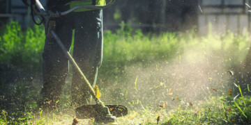 Καθαρισμός οικοπέδων: Άνοιξε η πλατφόρμα για τις δηλώσεις – Τι αλλάζει φέτος