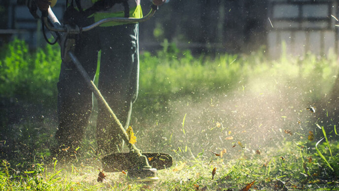 Καθαρισμός οικοπέδων: Άνοιξε η πλατφόρμα για τις δηλώσεις – Τι αλλάζει φέτος