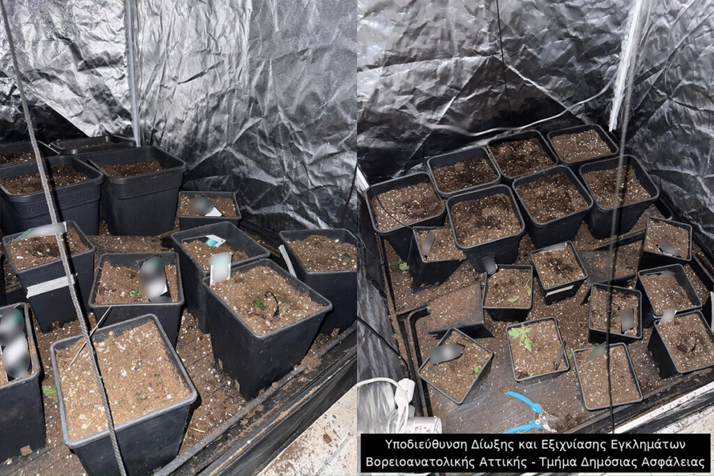 Πώς δρούσε η συμμορία που «άδειαζε» καταστήματα τεχνολογίας: Το κόλπο με τους μαγνήτες