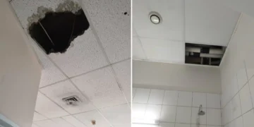 Σώθηκαν από θαύμα: Έπεσε η οροφή σε θάλαμο του Θριασίου – Τι καταγγέλλουν οι εργαζόμενοι
