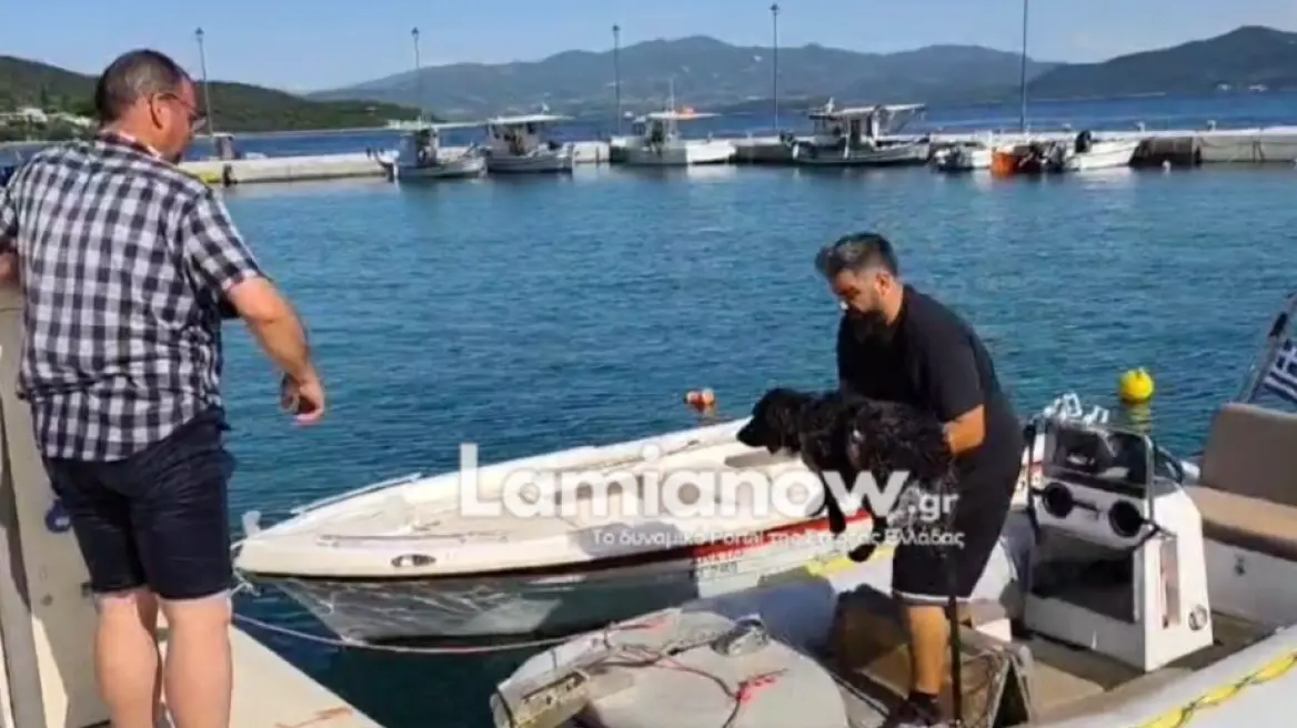 Η διάσωση του σκύλου Γκρίφον στα ανοιχτά της Γλύφας