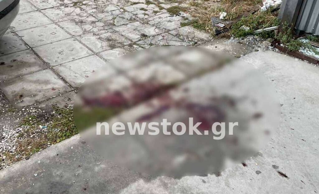 Άγρια νύχτα στο Μικρολίμανο: Η στιγμή που ένοπλος φυγόδικος έβγαλε όπλο σε αστυνομικούς. Βρέθηκαν μέχρι και χειροβομβίδες! - newstok.gr