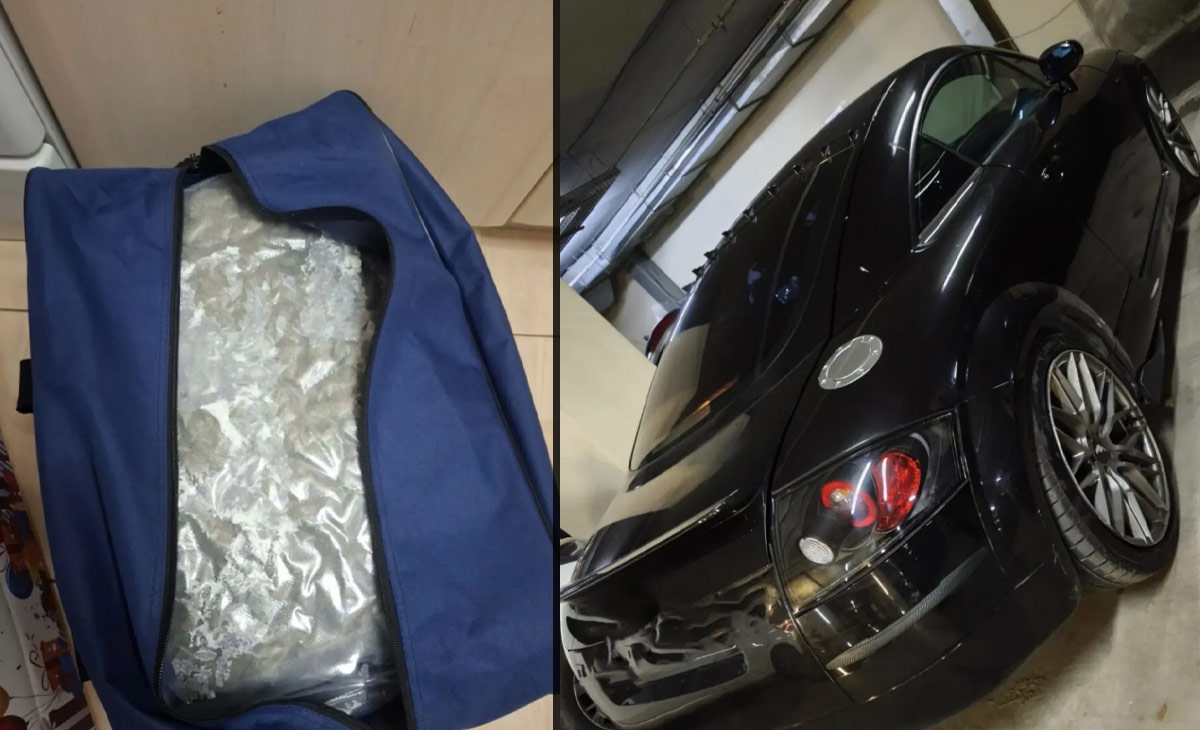 Στα χέρια της ΕΛ.ΑΣ. κύκλωμα διακίνησης Skunk στη Θεσσαλονίκη - Κατασχέθηκαν 27 κιλά