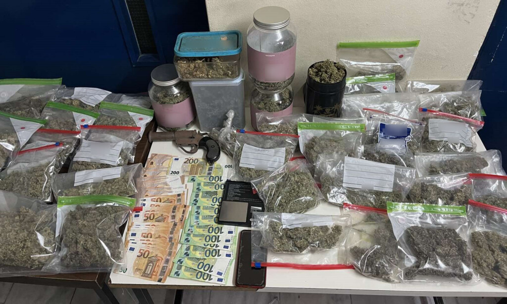 Έκρυβαν πάνω από 6 κιλά κάνναβης και εξοπλισμό υδροπονικής μέσα σε συνεργείο αυτοκινήτων στη Νέα Χαλκηδόνα! - newstok.gr