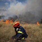 Συναγερμός στη Βοιωτία: Πυρκαγιά στο Ακραίφνιο, επιχειρούν ισχυρές εναέριες δυνάμεις   - newstok.gr