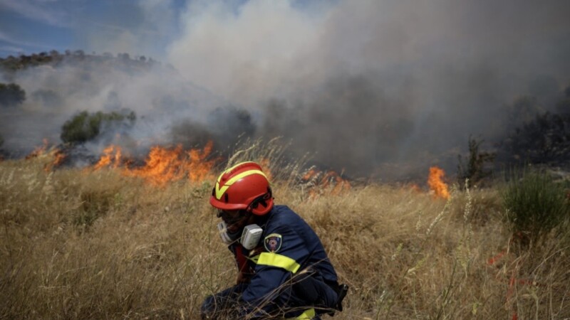 Συναγερμός στη Βοιωτία: Πυρκαγιά στο Ακραίφνιο, επιχειρούν ισχυρές εναέριες δυνάμεις   - newstok.gr