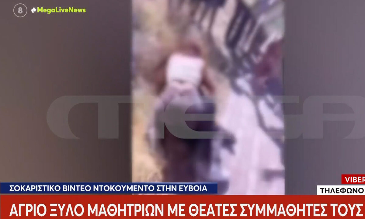 Εύβοια: Βίντεο ντοκουμέντο από τη στιγμή που μαθήτριες πιάνονται στα χέρια έξω από σχολείο της Χαλκίδας