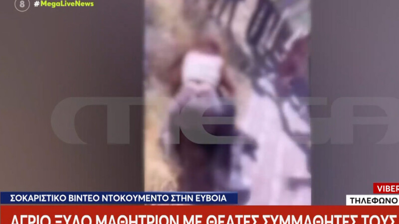 Εύβοια: Βίντεο ντοκουμέντο από τη στιγμή που μαθήτριες πιάνονται στα χέρια έξω από σχολείο της Χαλκίδας
