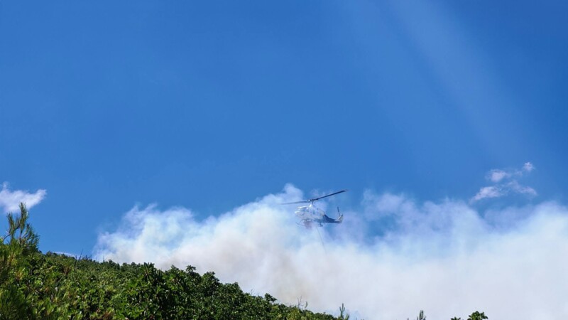 Σε εξέλιξη δασική πυρκαγιά στον Άγιο Βασίλειο Θήβας – Ήχησε το 112