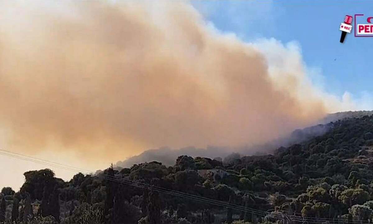 Μεγάλο πύρινο μέτωπο σάρωσε τη νότια Εύβοια – Εκκενώθηκαν περιοχές