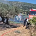 Σε εξέλιξη πυρκαγιά στη Μαμουλάδα Ναυπακτίας: Ισχυρές δυνάμεις
