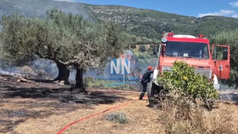 Σε εξέλιξη πυρκαγιά στη Μαμουλάδα Ναυπακτίας: Ισχυρές δυνάμεις