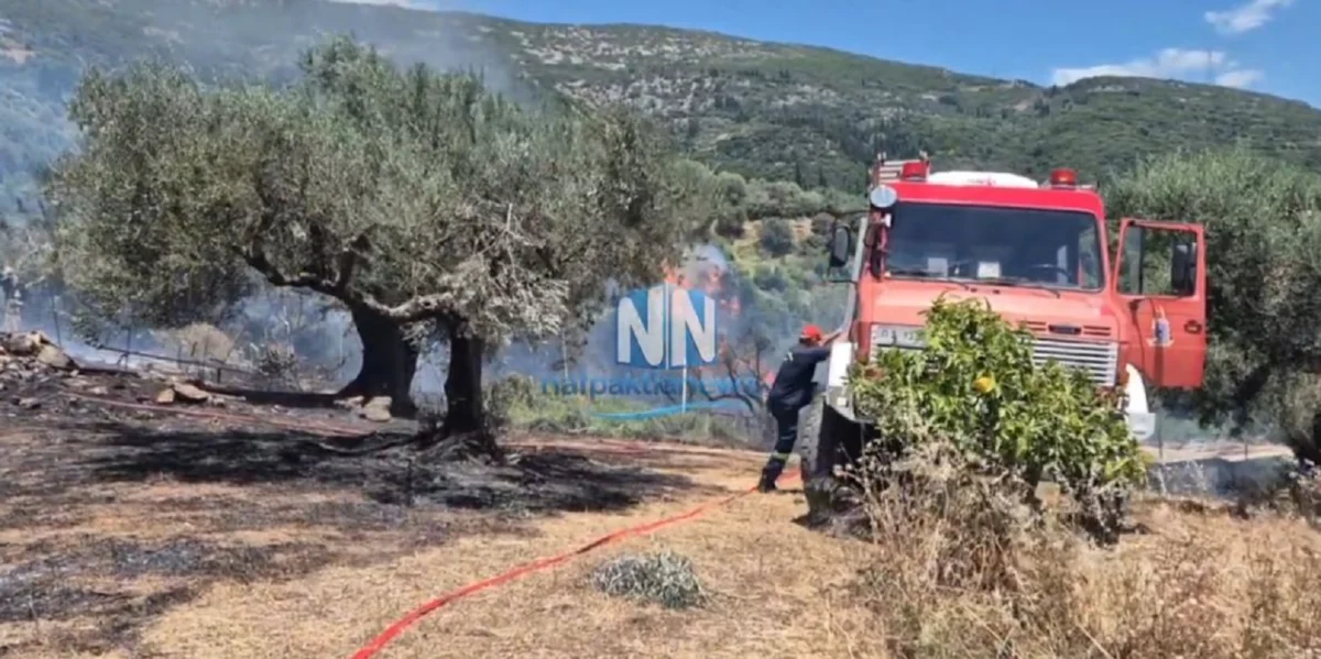 Σε εξέλιξη πυρκαγιά στη Μαμουλάδα Ναυπακτίας: Ισχυρές δυνάμεις