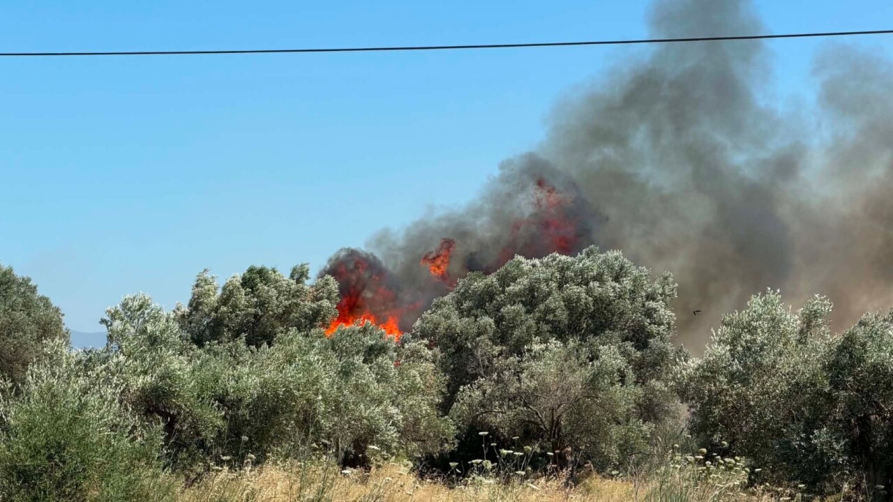 Σπάτα : Φωτιά κοντά στο αεροδρόμιο 
