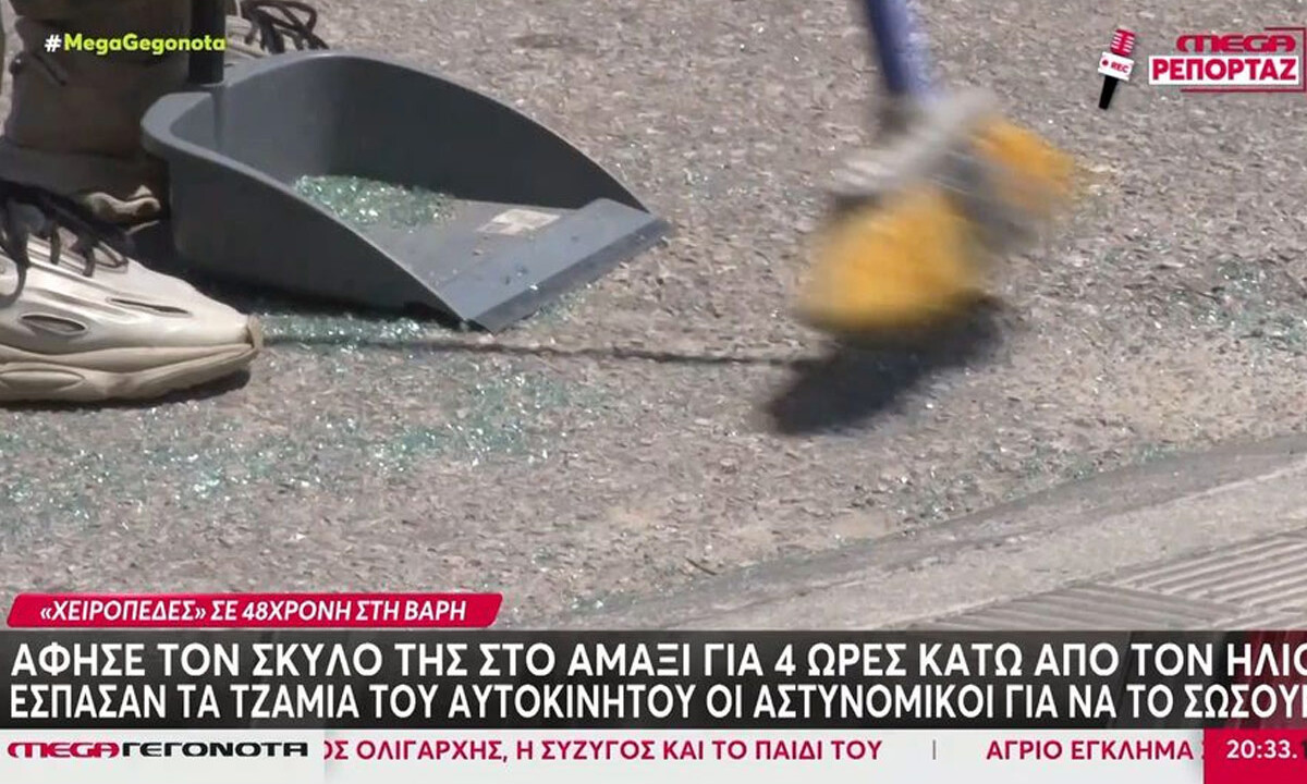 Βάρη: Άφησε τον σκύλο της με κλειστά παράθυρα στο ΙΧ για 4 ώρες & προσπάθησε να αποφύγει τη σύλληψη – Βίντεο ντοκουμέντο