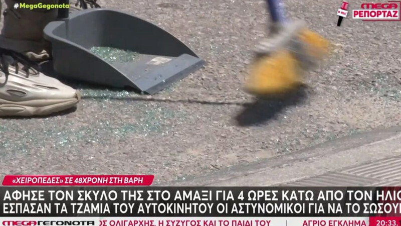 Βάρη: Άφησε τον σκύλο της με κλειστά παράθυρα στο ΙΧ για 4 ώρες & προσπάθησε να αποφύγει τη σύλληψη – Βίντεο ντοκουμέντο