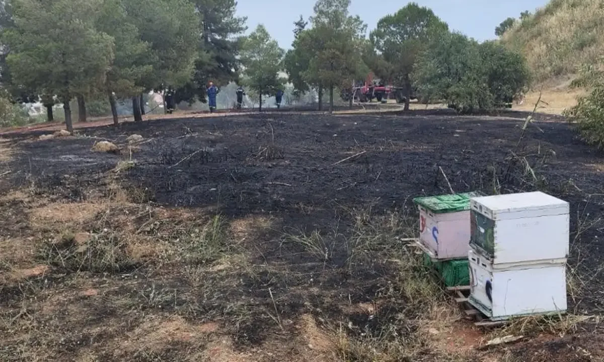 Άλσος Βεΐκου: Φωτιά ξέσπασε από μελίσσια και αναζητούνται οι μελισσοκόμοι