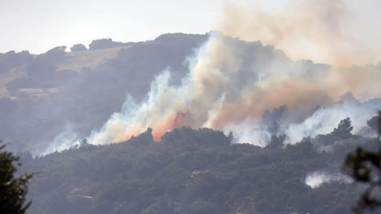 Φωτιά στη Βοιωτία: '' Μην γίνουμε το νέο Μάτι, θα καούμε ζωντανοί '' - Κραυγή απόγνωσης από κάτοικο του Αγίου Βασιλείου - newstok.gr