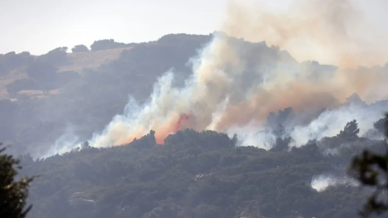 Φωτιά στη Βοιωτία: '' Μην γίνουμε το νέο Μάτι, θα καούμε ζωντανοί '' - Κραυγή απόγνωσης από κάτοικο του Αγίου Βασιλείου - newstok.gr