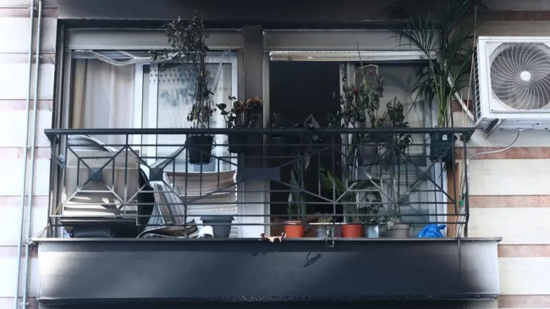 Νέα εξέλιξη στις έρευνες για τη δολοφονία της Βάγιας Νέστορα: Χειροπέδες σε 4ο άτομο στη Θεσσαλονίκη