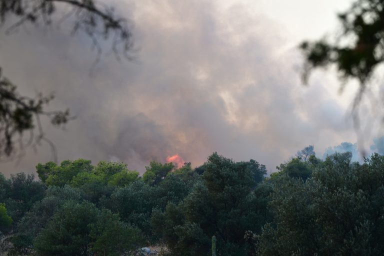 Φωτιές: Οι οδηγίες της Ελληνικής Πνευμονολογικής Εταιρείας για προστασία από τον καπνό και τα αιωρούμενα σωματίδια - newstok.gr
