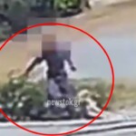 Οργή στην Αρκαδία από βίντεο με άνδρα που μεταφέρει νεκρό σκύλο – Τι υποστηρίζει ο ίδιος στις αρχές