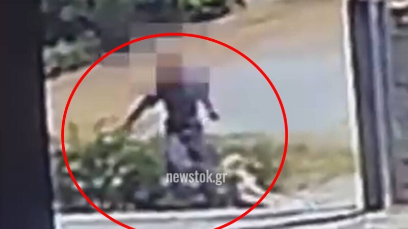 Οργή στην Αρκαδία από βίντεο με άνδρα που μεταφέρει νεκρό σκύλο – Τι υποστηρίζει ο ίδιος στις αρχές