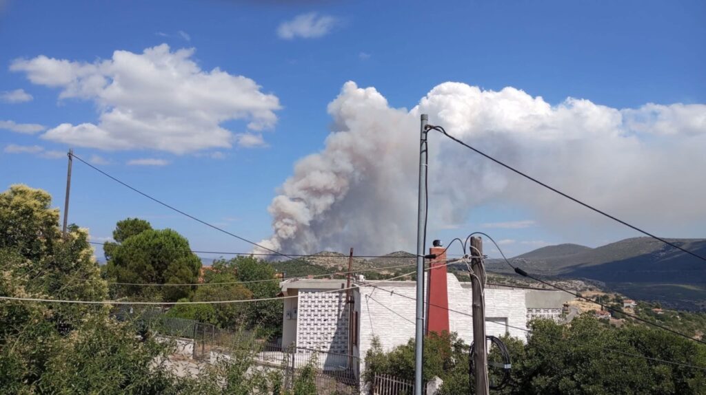 Φωτιά στην Οινόη: Το 112 καλεί τους κατοίκους να παραμείνουν σε ετοιμότητα - newstok.gr