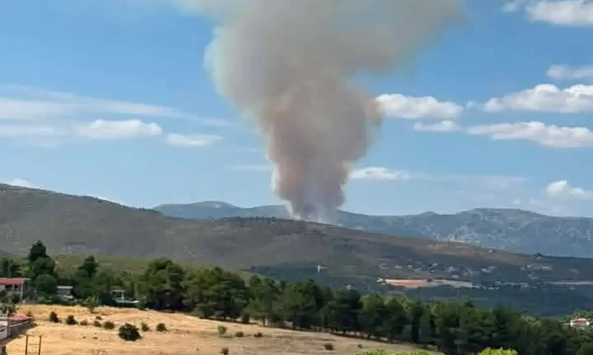 Φωτιά στην Οινόη: Το 112 καλεί τους κατοίκους να παραμείνουν σε ετοιμότητα