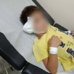 Βόλος: Με επιτυχία ολοκληρώθηκε η επέμβαση του 6χρονου Μάριου μετά την επίθεση αδέσποτου σκύλου - Τι δήλωσε ο παππούς του - newstok.gr