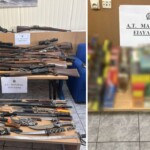 Ασύλληπτο τι έκρυβε στο σπίτι του στην Οινόη 56χρονος που διατηρούσε παράνομο εκτροφείο ζώων!