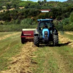 Βέροια: 17χρονος οδηγός τρακτέρ παρέσυρε τον 44χρονο θείο του σε αυλή σπιτιού