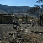 Κώστας Κατσαφάδος για πυρόπληκτους: '' Μέχρι αύριο θα έχουν ολοκληρωθεί οι αυτοψίες στο Πόρτο Γερμενό - Το μήνυμα είναι ένα και απλό, κανέναν δεν θα αφήσουμε αβοήθητο '' - newstok.gr