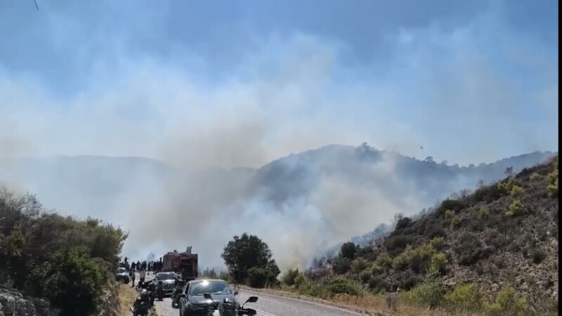 Σαλαμίνα: Δύο σοροί βρέθηκαν στη φωτιά στα Περιστέρια - newstok.gr
