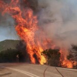 Χαλκιδική: Απαγορεύεται η κυκλοφορία την Τετάρτη (12/8) λόγω υψηλού κινδύνου εκδήλωσης δασικής πυρκαγιάς - newstok.gr