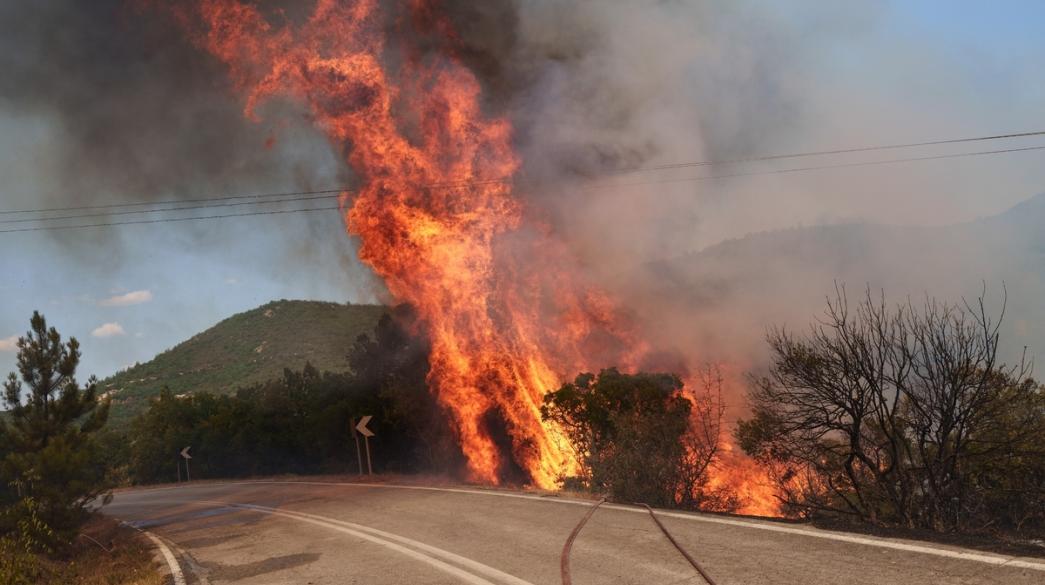 Χαλκιδική: Απαγορεύεται η κυκλοφορία την Τετάρτη (12/8) λόγω υψηλού κινδύνου εκδήλωσης δασικής πυρκαγιάς - newstok.gr
