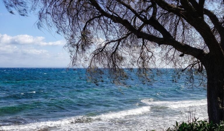 Χαλκιδική: Νεκρός 56χρονος λουόμενος στην παραλία της Σάρτης - newstok.gr