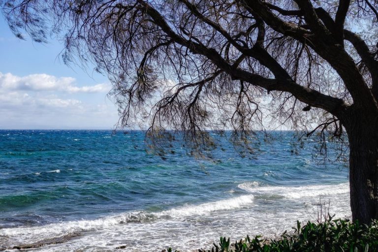 Χαλκιδική: Νεκρός 56χρονος λουόμενος στην παραλία της Σάρτης - newstok.gr