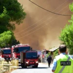 Συλλήψεις σε Ραφήνα και Ίλιον: Έστηναν ψησταριές ενώ ο κίνδυνος πυρκαγιάς ήταν στην κατηγορία 4 - newstok.gr