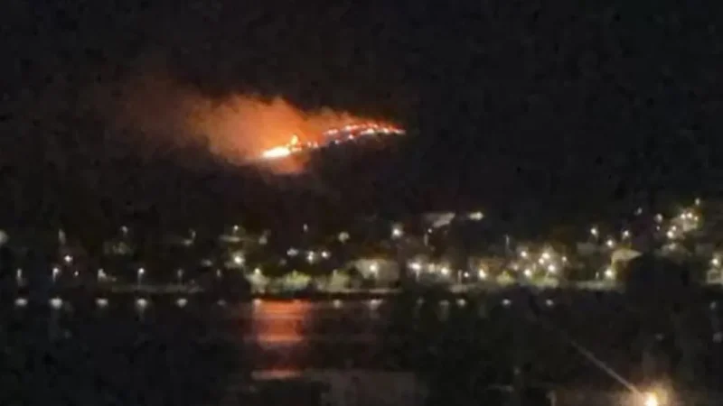 Φωτιά στα Αϊβαλιώτικα Βόλου - Επιχειρούν 32 πυροσβέστες και εννέα οχήματα - newstok.gr