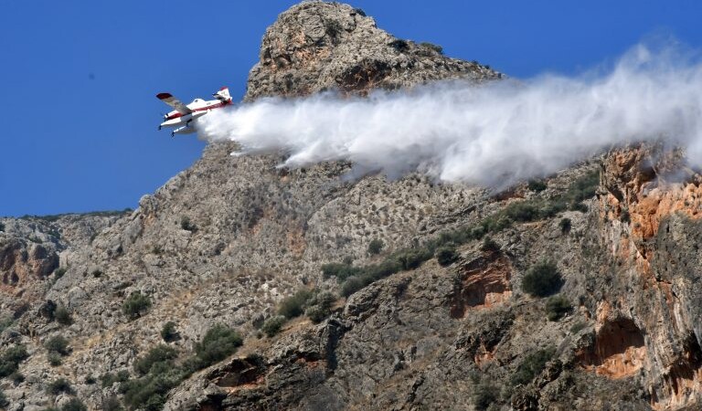 Κεφαλονιά: Συνελήφθη 44χρονος για εμπρησμό από πρόθεση - Είχε καταδικαστεί και στο παρελθόν για παρόμοια υπόθεση - newstok.gr