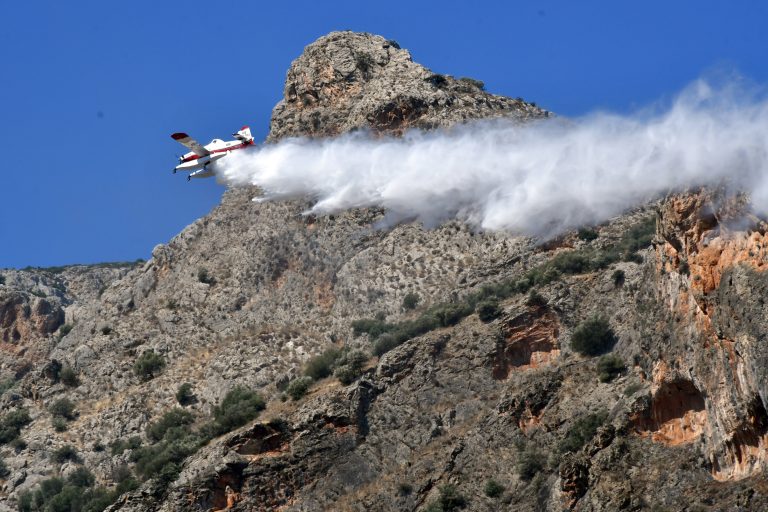 Κεφαλονιά: Συνελήφθη 44χρονος για εμπρησμό από πρόθεση - Είχε καταδικαστεί και στο παρελθόν για παρόμοια υπόθεση - newstok.gr