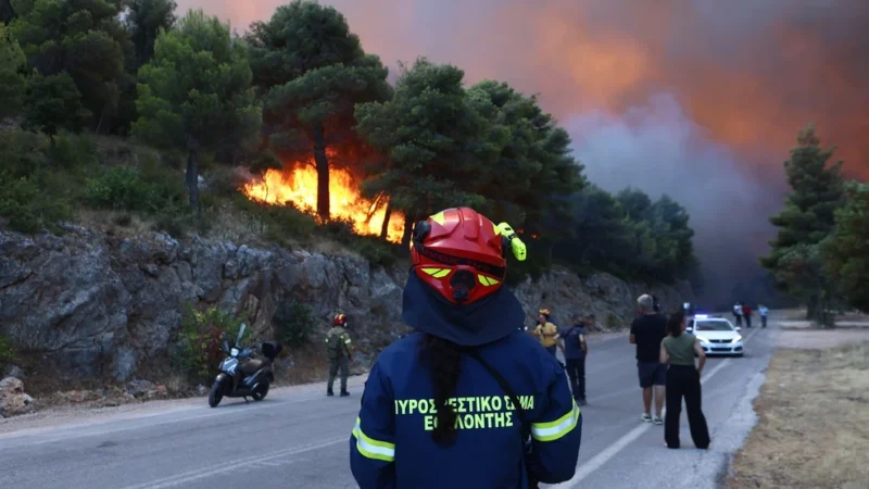 Γιάννης Αρτοποιός για φωτιές: '' Θα είναι πολύ δύσκολο βράδυ - Τα κύρια μέτωπα είναι Αττικοβοιωτία και Σκάλωμα Φωκίδας '' - newstok.gr