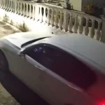 Εξοργιστικό βίντεο στην Κέρκυρα: Πάτησε με το αυτοκίνητο σκυλάκι και το άφησε να πεθάνει στο δρόμο