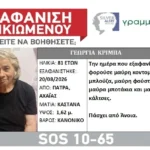 Πάτρα: Έβδομη ημέρα αγωνίας για την 81χρονη Γεωργία Κριμπά - Πάσχει από άνοια - newstok.gr