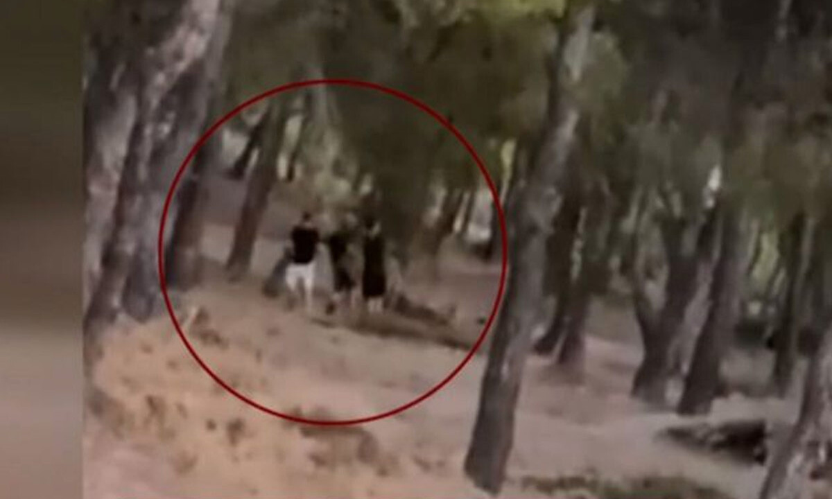 Βίντεο ντοκουμέντο: Έφηβοι έβαλαν φωτιά σε δάσος στα Βριλήσσια