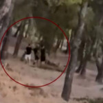 Βίντεο ντοκουμέντο: Έφηβοι έβαλαν φωτιά σε δάσος στα Βριλήσσια